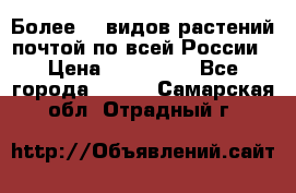 Более200 видов растений почтой по всей России › Цена ­ 100-500 - Все города  »    . Самарская обл.,Отрадный г.